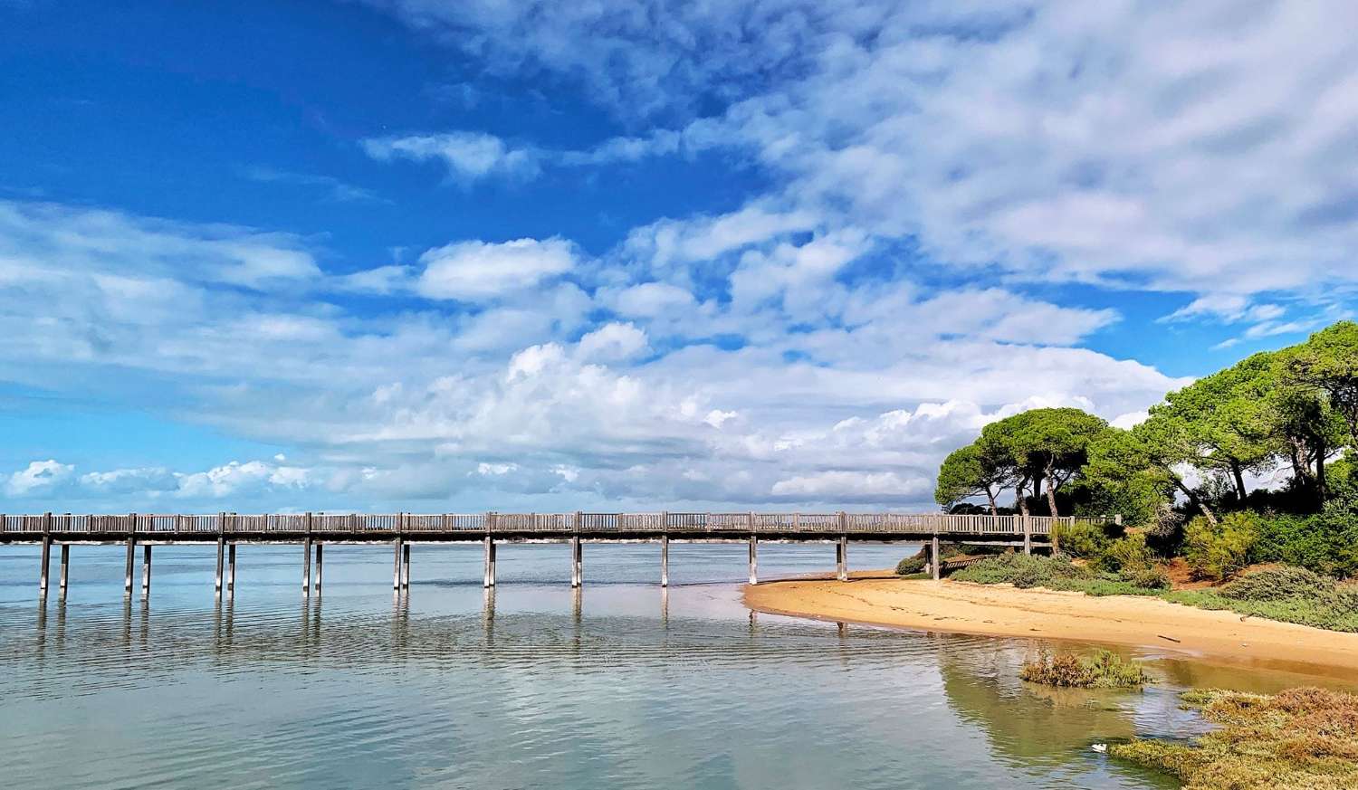 SE VENDE FABULOSO PISO BAJO CON LUJOSAS CALIDADES, GARAJE, TRASTERO Y 2 GRANDES TERRAZAS TECHADAS EN EL PASEO MARÍTIMO DE PUERTO REAL