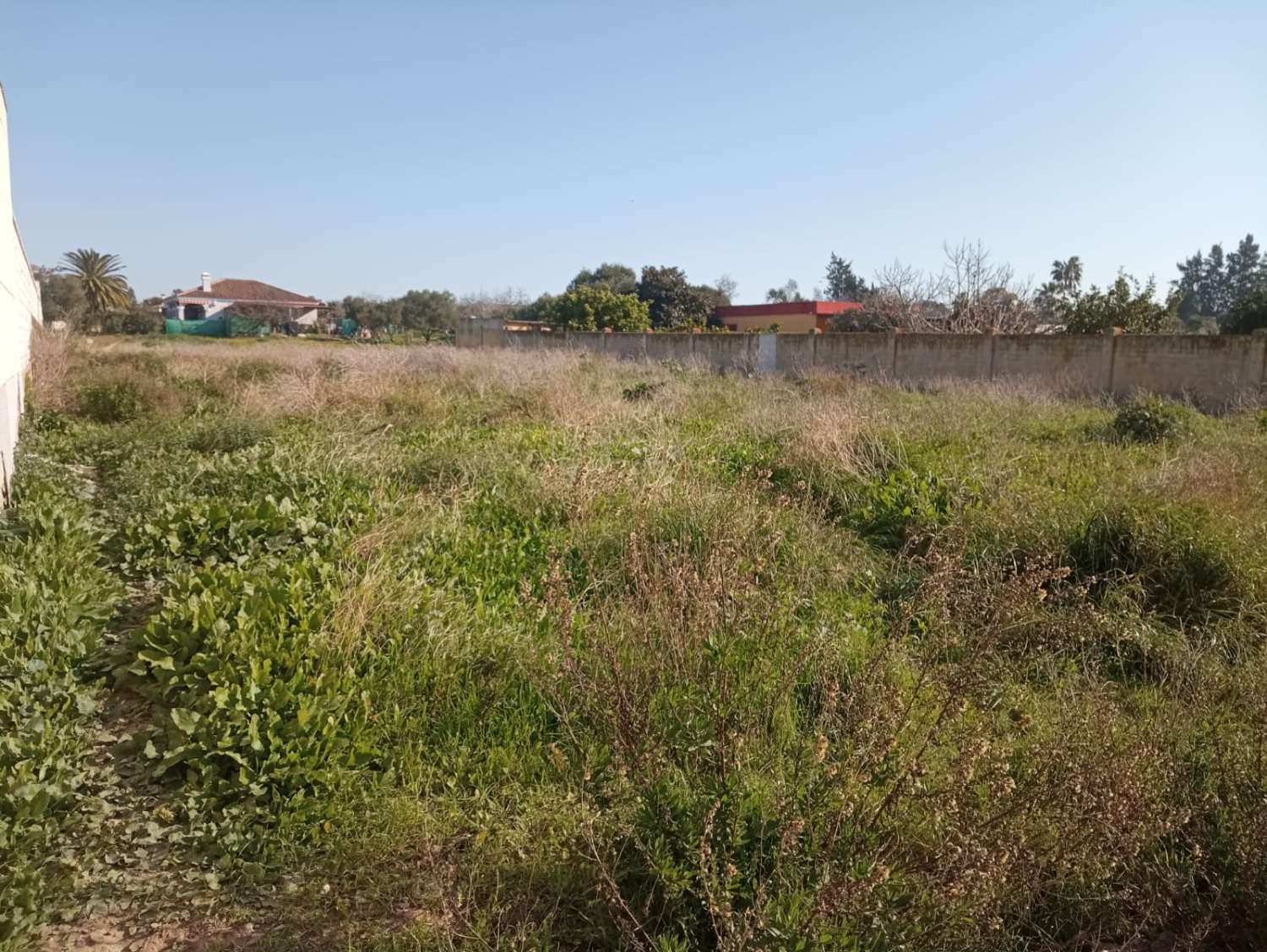 قطعة أرض للبيع في La Jara (Sanlúcar de Barrameda)