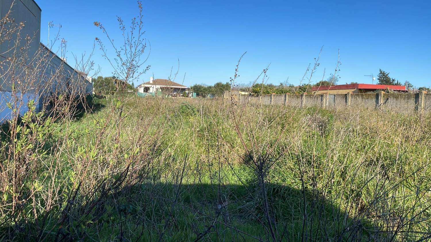 قطعة أرض للبيع في La Jara (Sanlúcar de Barrameda)