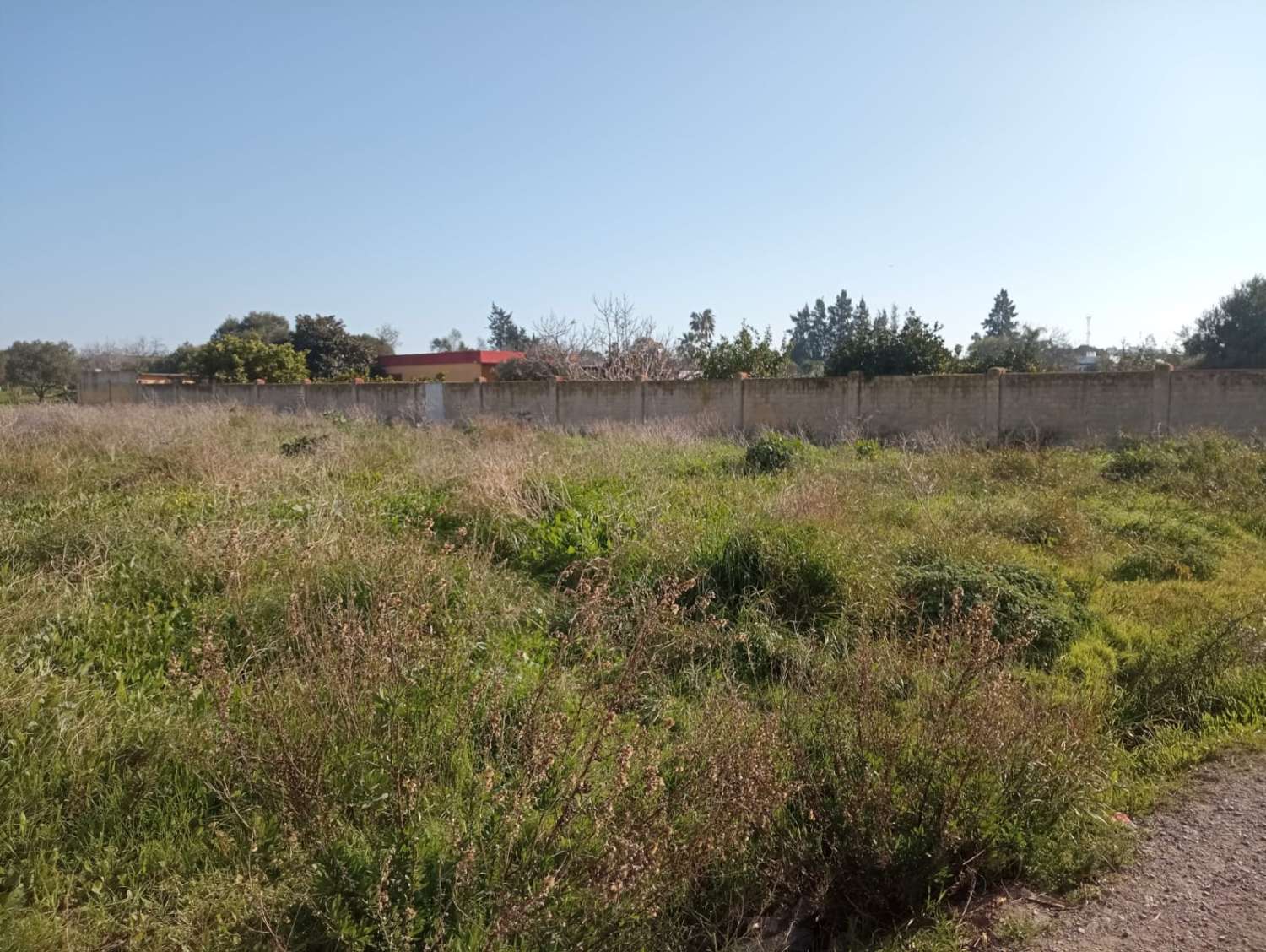 قطعة أرض للبيع في La Jara (Sanlúcar de Barrameda)