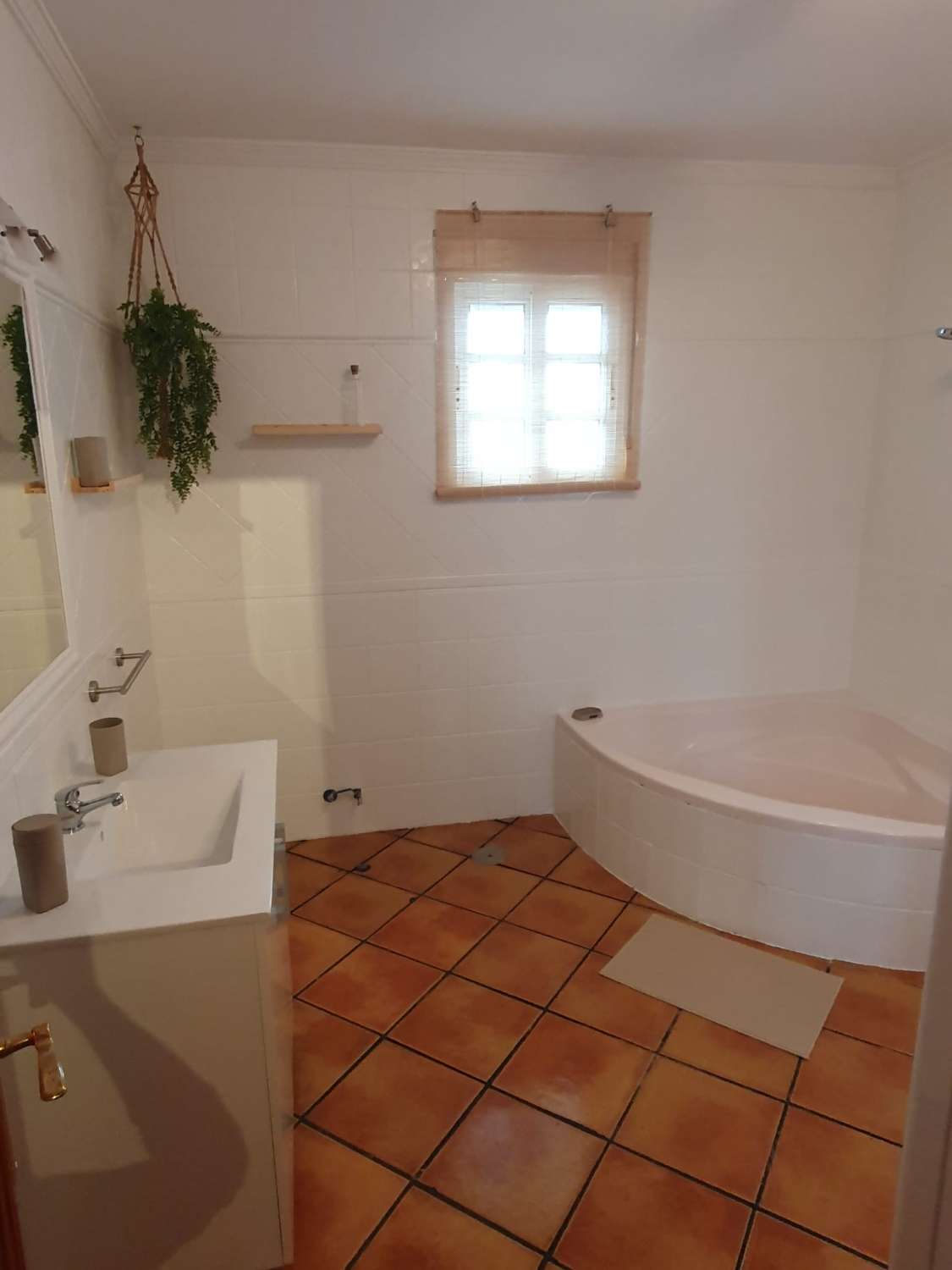SE ALQUILA ANUAL FABULOSO CHALET EN PARCELA DE 600 M2 CON 4 DORMITORIOS Y 2 BAÑOS EN CARRETERA DE LA BARROSA, CHICLANA DE LA FRONTERA