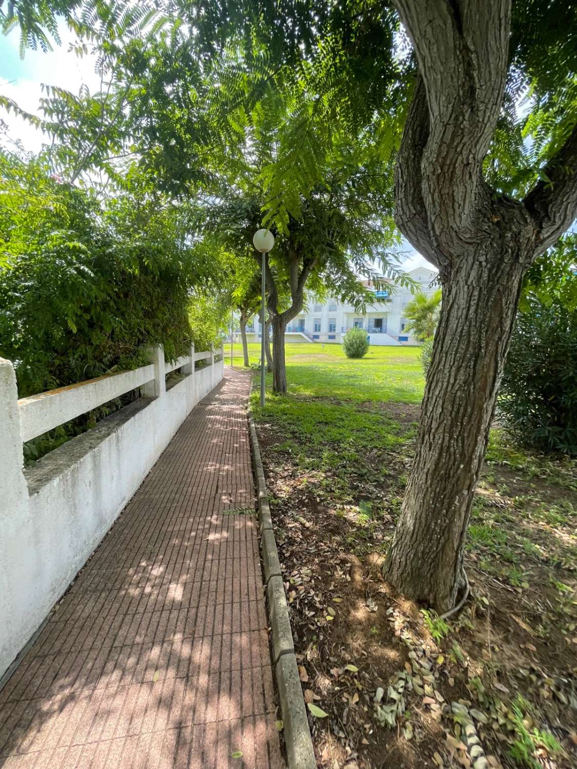 Lejlighed udlejes i La Jara (Sanlúcar de Barrameda)